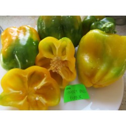 PAPRYKA CANARY BELL PEPPER